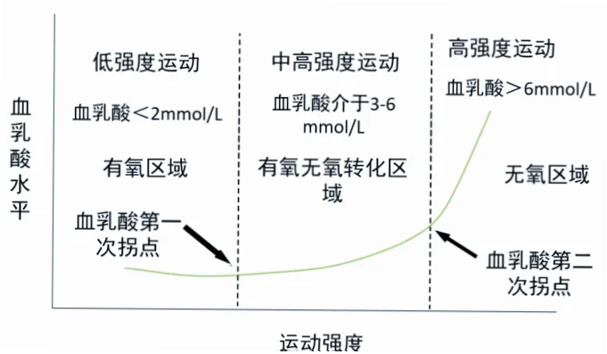 跑步乳酸阈训练是提高耐力和速度的核心方法